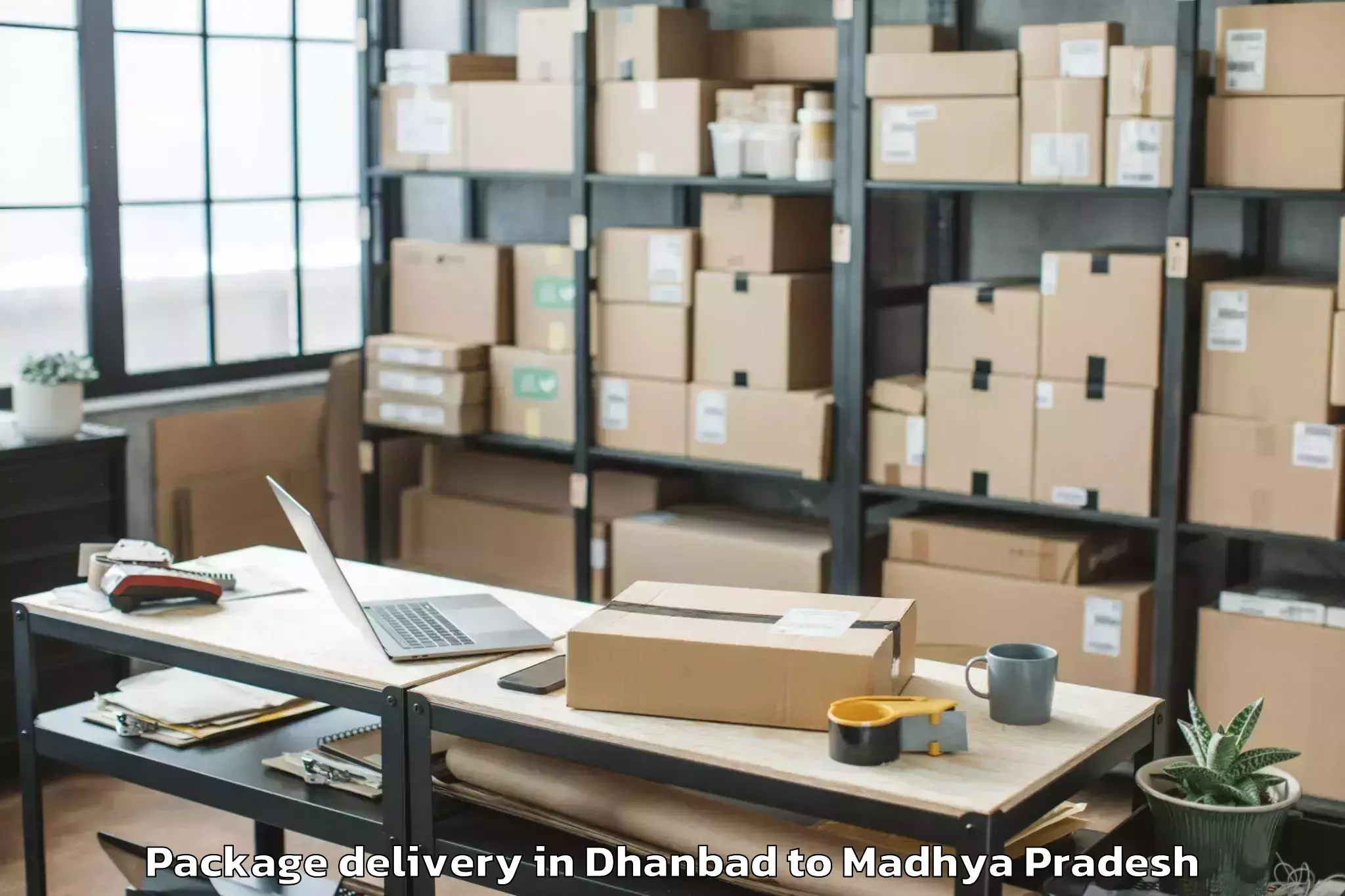 Expert Dhanbad to Aron Package Delivery